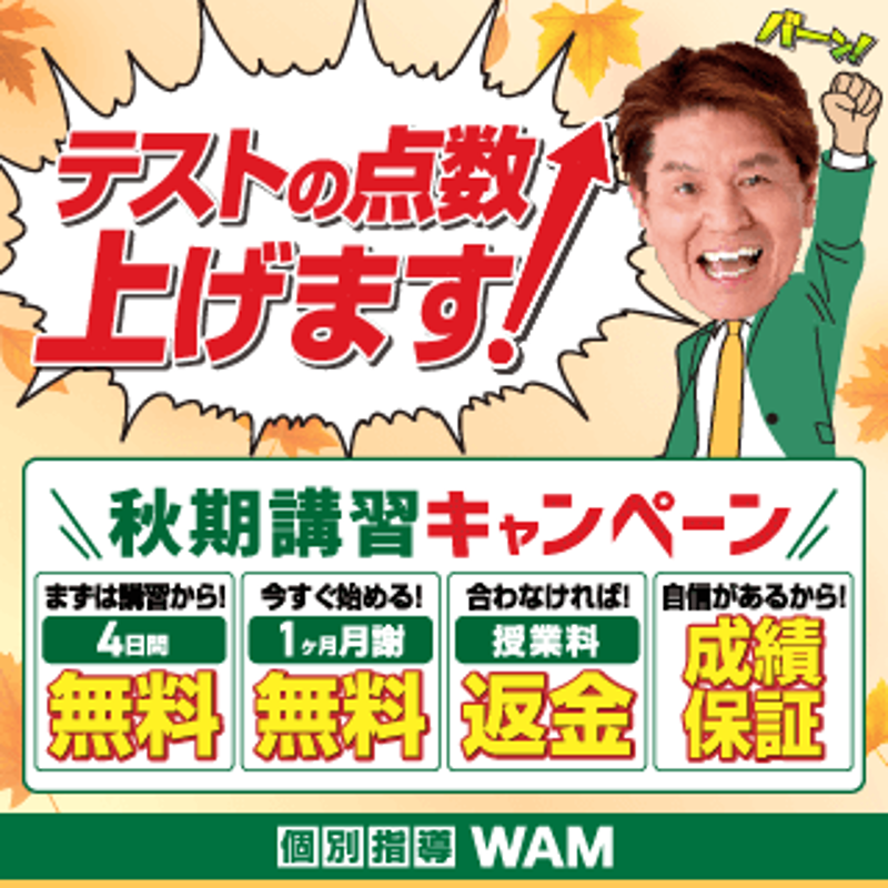 個別指導WAMのPR画像